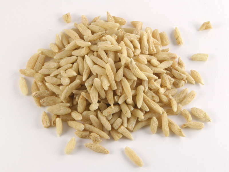 Bradník japonský TaiwanTCM